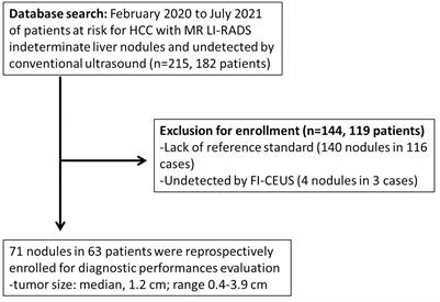 FI-CEUS: a solution to improve the diagnostic accuracy in MRI LI-RADS-indeterminate (LR-3/4) FLLs at risk for HCC